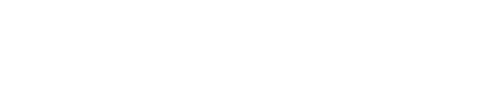 light logo